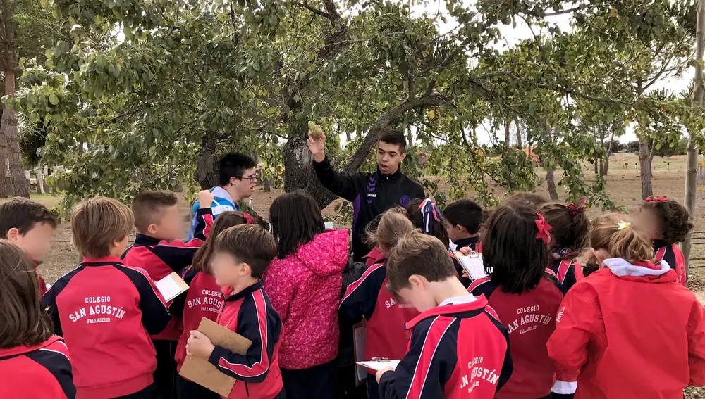 El Centro San Juan de Dios en Valladolid, recibe un premio nacional por su Sendero Verde