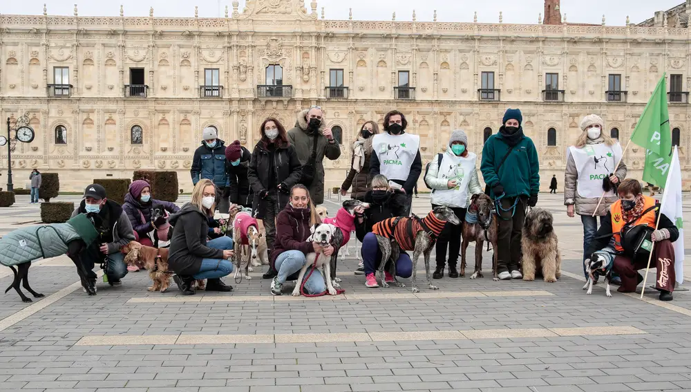 El Partido Animalista Contra el Maltrato Animal, Pacma, organiza un paseo con animales en adopción