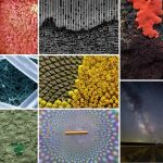 De izquierda a derecha y de arriba abajo: "Ser o no ser", "Jeroglíficos del microprocesador", "Volcán de mixomicetos", "Pequeña Gran Muralla", "Metamorfosis floral", "El bosque de parasoles", "El arcoíris digital" y "Todo es polvo de estrellas"