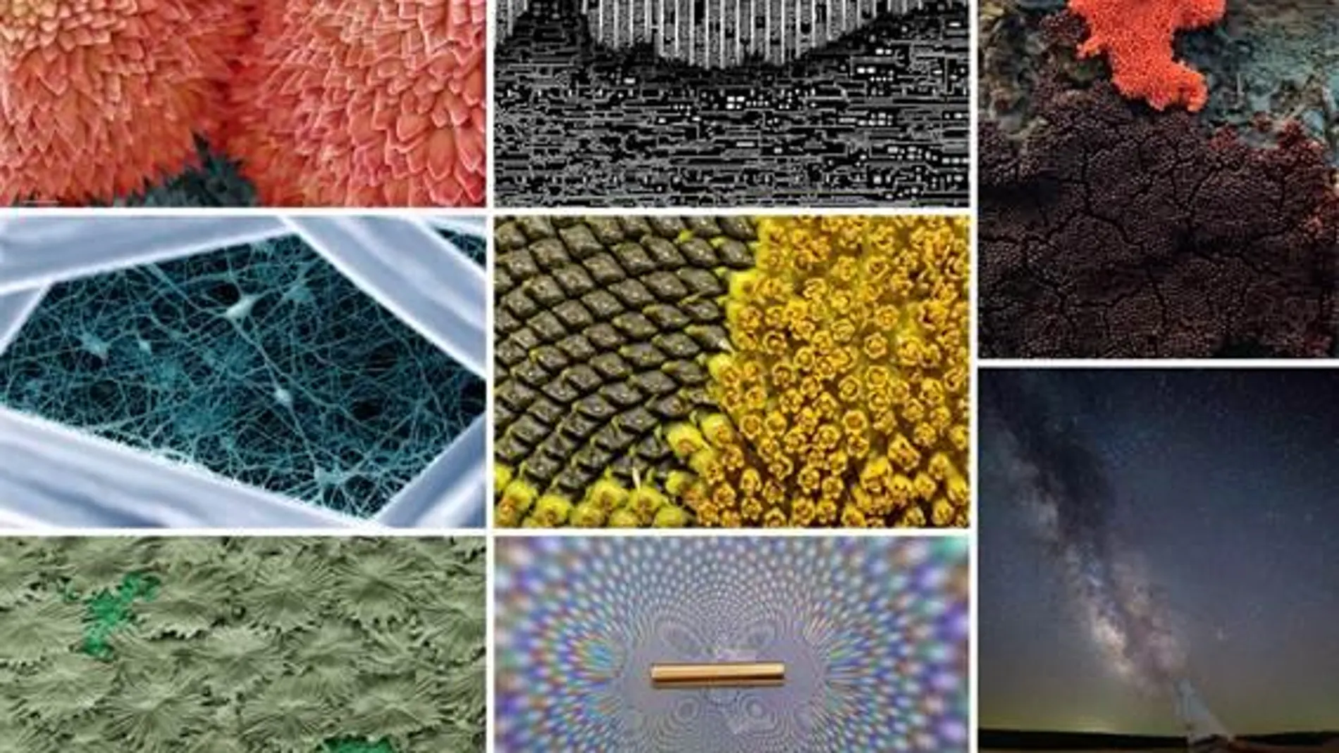 De izquierda a derecha y de arriba abajo: "Ser o no ser", "Jeroglíficos del microprocesador", "Volcán de mixomicetos", "Pequeña Gran Muralla", "Metamorfosis floral", "El bosque de parasoles", "El arcoíris digital" y "Todo es polvo de estrellas"