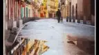 &quot;Los vencejos&quot;, de Fernando Aramburu