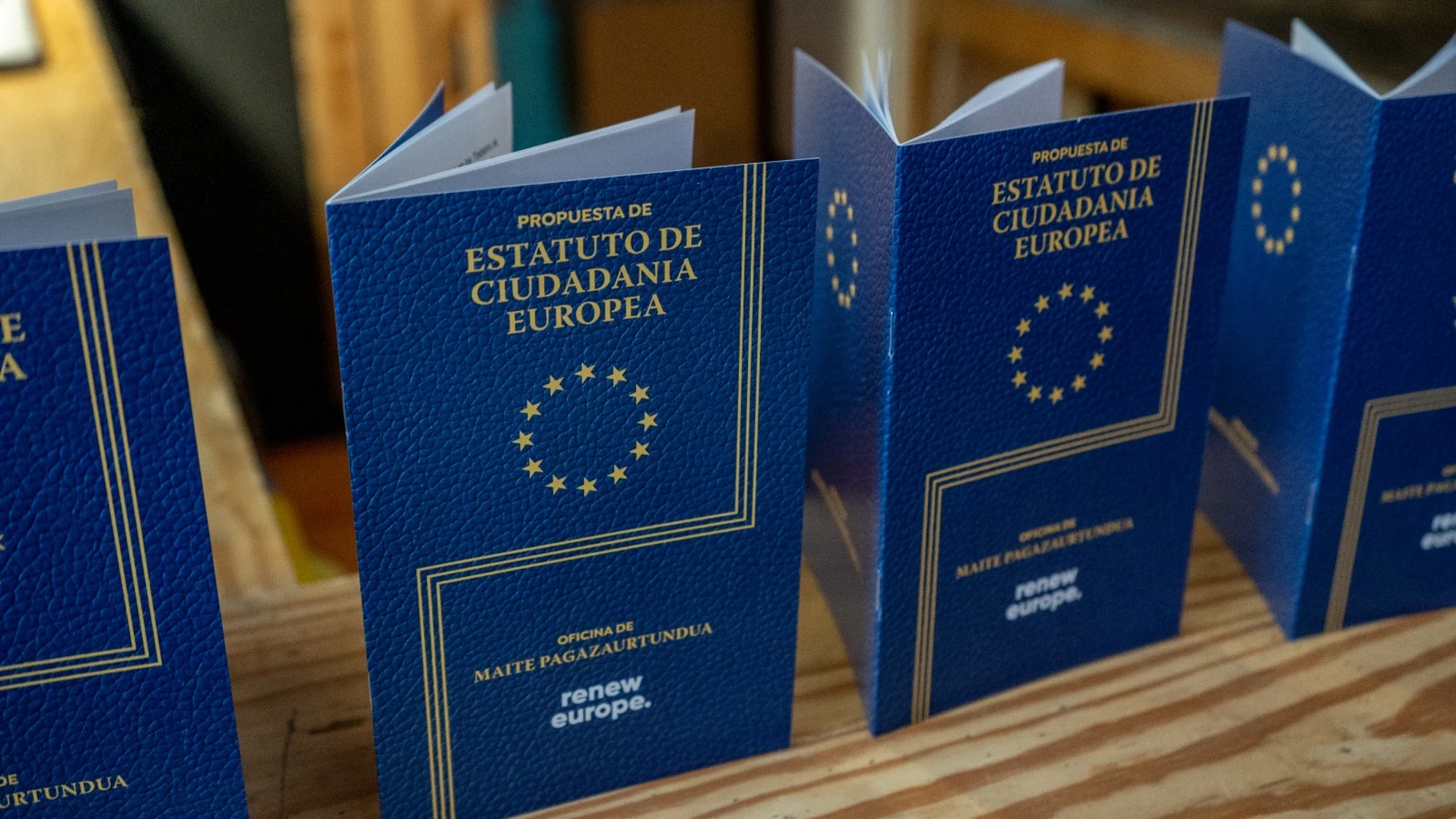 La propuesta de Estatuto de la Ciudadanía que ha presentado Maite Pagaza