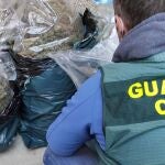 Investigan a un hombre que llevaba en el coche 21 kilos de cogollos de marihuana