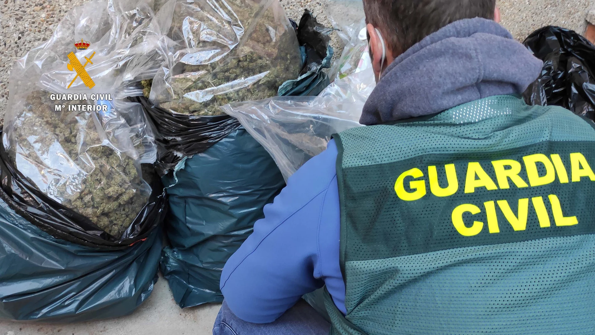 Investigan a un hombre que llevaba en el coche 21 kilos de cogollos de marihuana