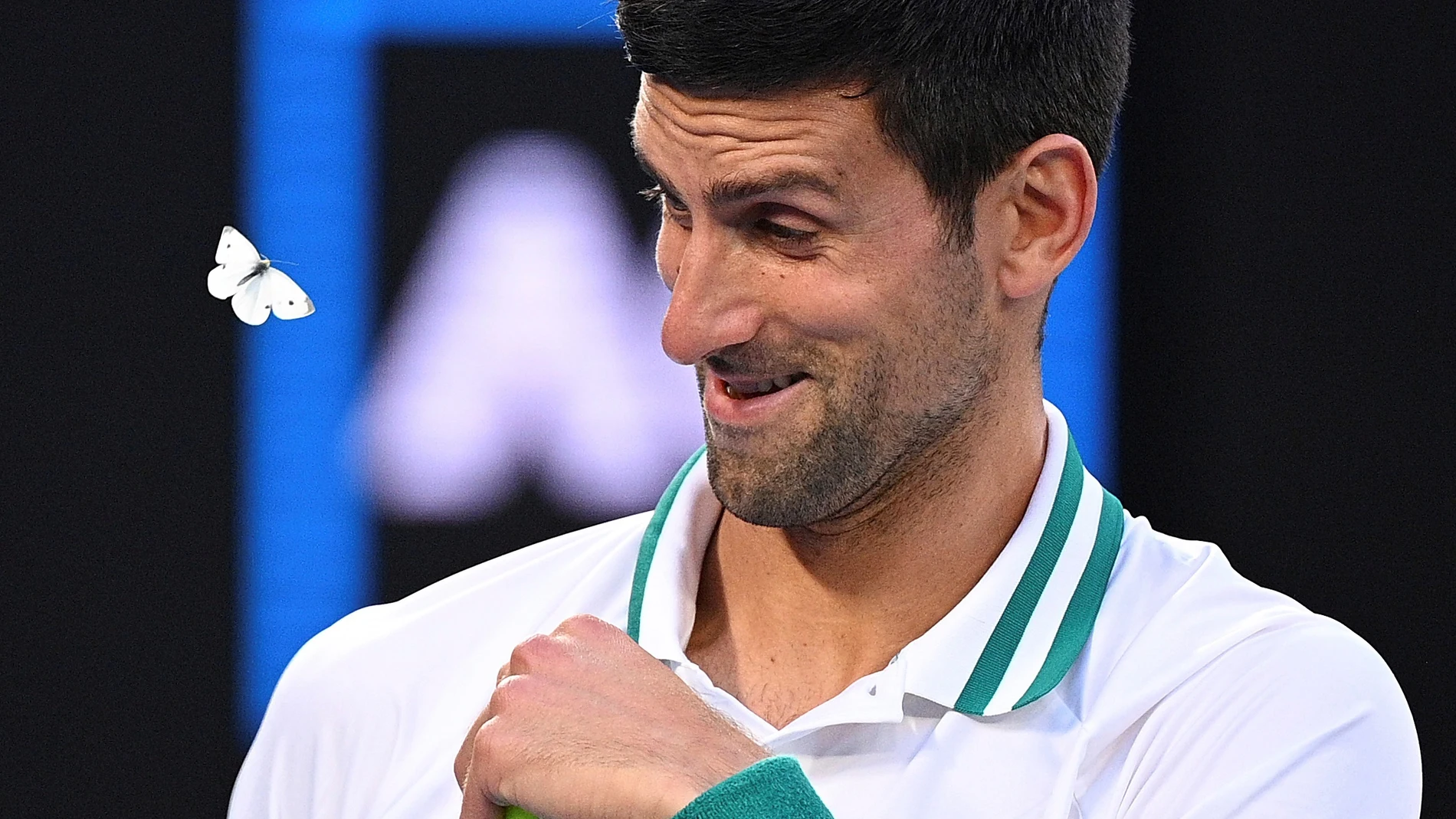 La participación de Djokovic en el Open de Australia está más en el aire que nunca