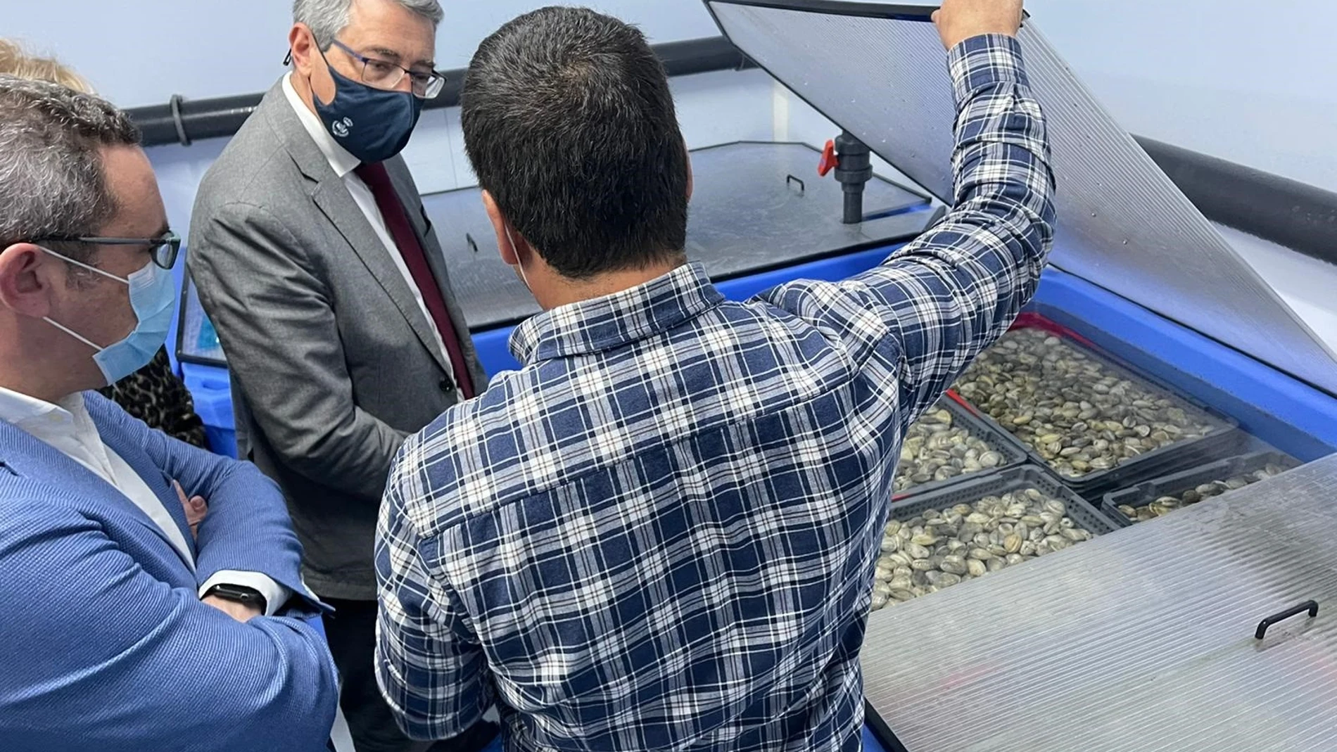 Francisco Salado en una visita a la empresa Escobedo Mariscos Vivos de Fuengirola. DIPUTACIÓN DE MÁLAGA