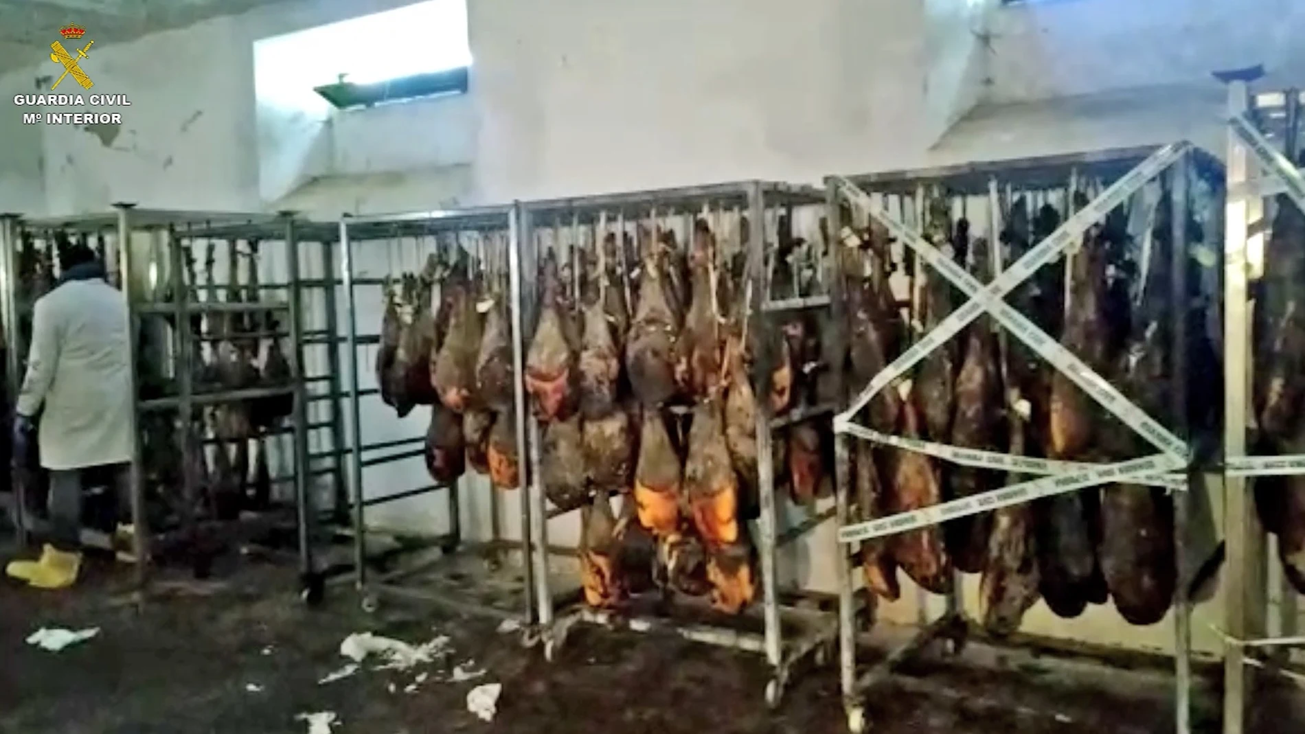 Dos detenidos y siete investigados en Salamanca por comerciar con cerdos sin cumpliar las normas de calidad del ibérico