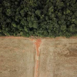 FILE PHOTO: An aerial view shows deforestation near a forest on the border between Amazonia and Cerrado in Nova Xavantina, Mato Grosso state, Brazil July 28, 2021. Picture taken with a drone on July 28, 2021. REUTERS/Amanda Perobelli/File Photo
