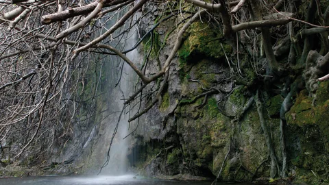 Las fuentes del Algar
