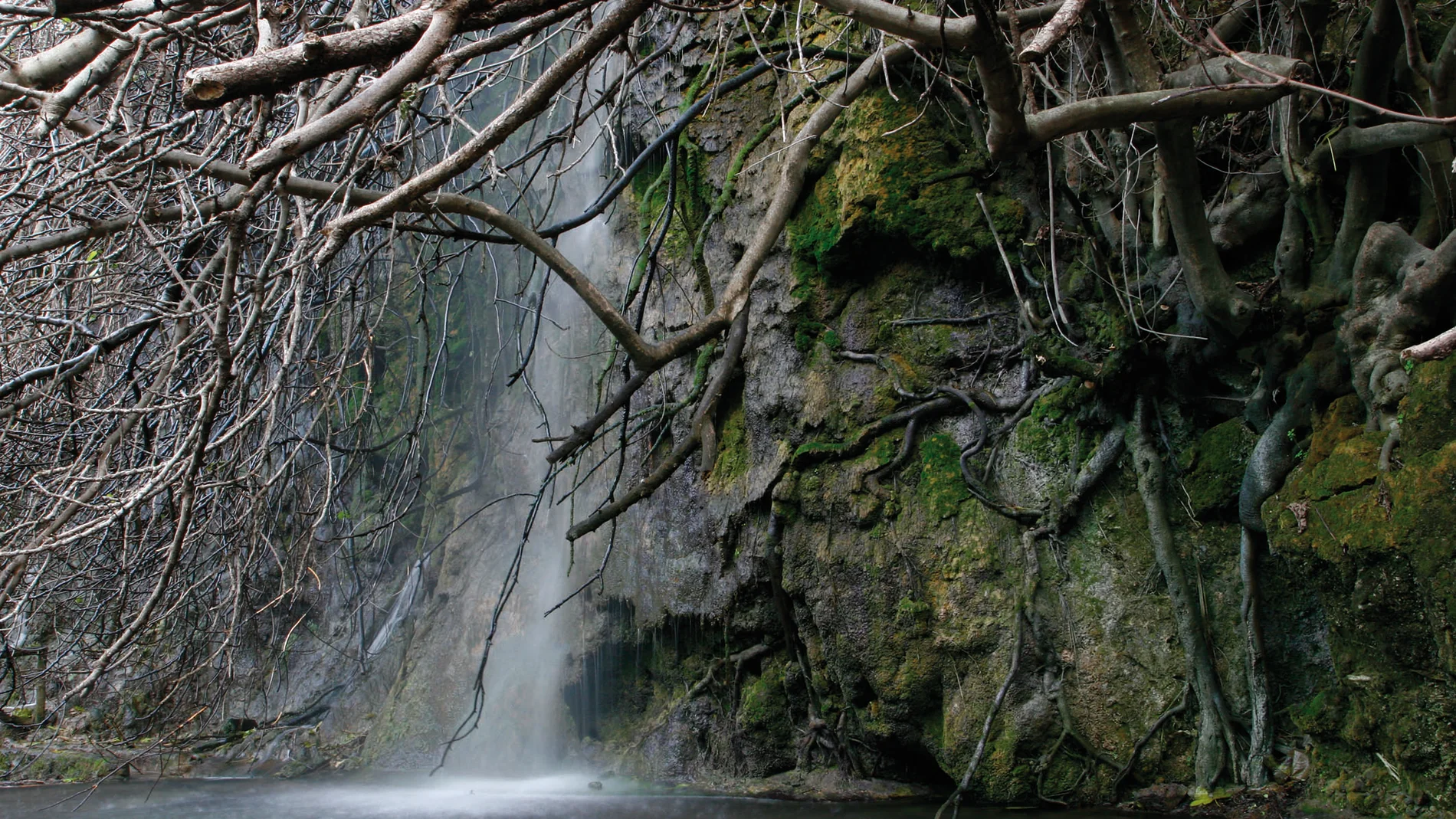 Las fuentes del Algar