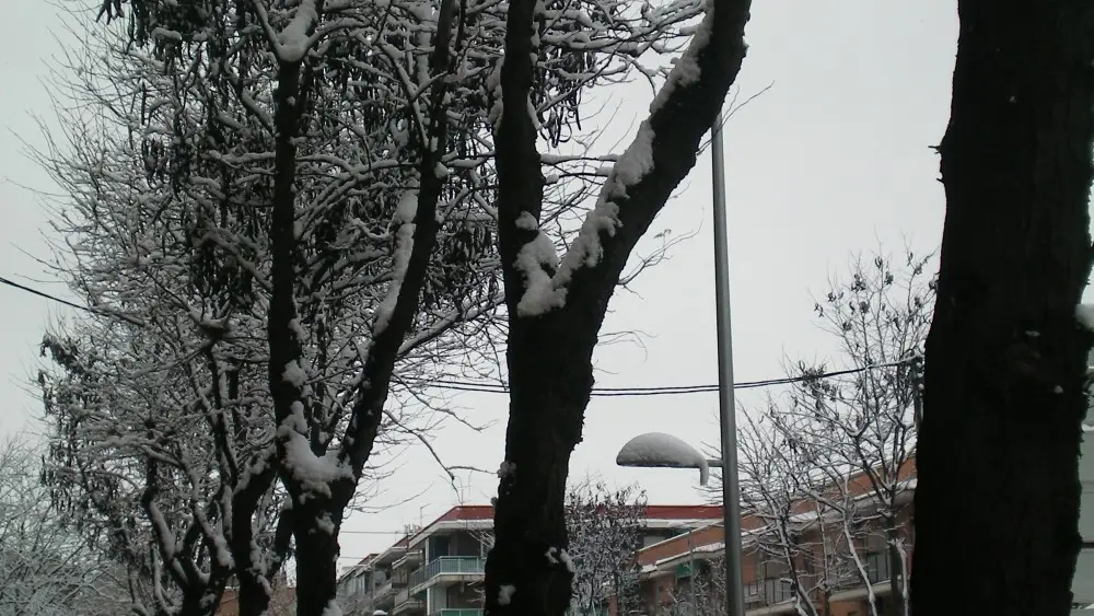 Calle Congosto tras la nevada de 2009