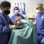 En esta foto proporcionada por la Facultad de Medicina de la Universidad de Maryland, miembros del equipo quirúrgico muestran el corazón de cerdo para el trasplante al paciente David Bennett