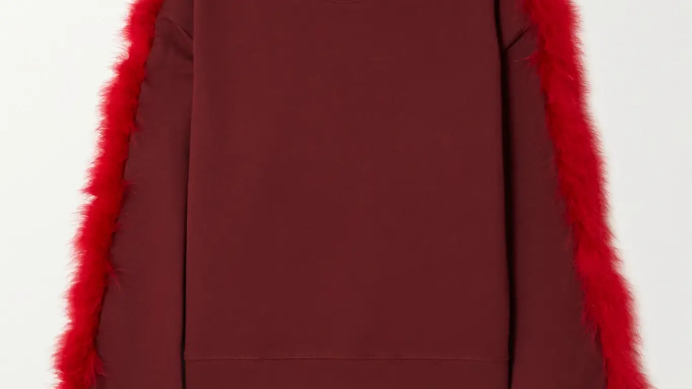 Sudadera Haffe de jersey de algodón con ribete de plumas, de Dries Van Noten