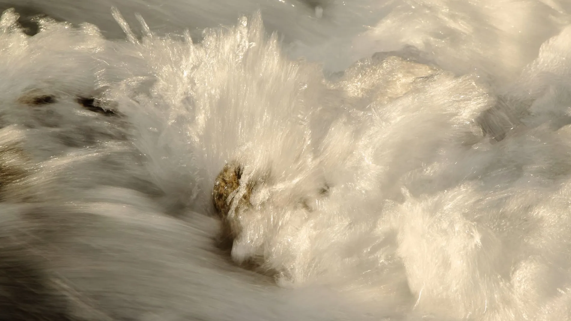 El evangelio de Juan presenta una escena determinante de la primera semana de la vida pública de Jesús: la conversión del agua en vino en las bodas de Caná