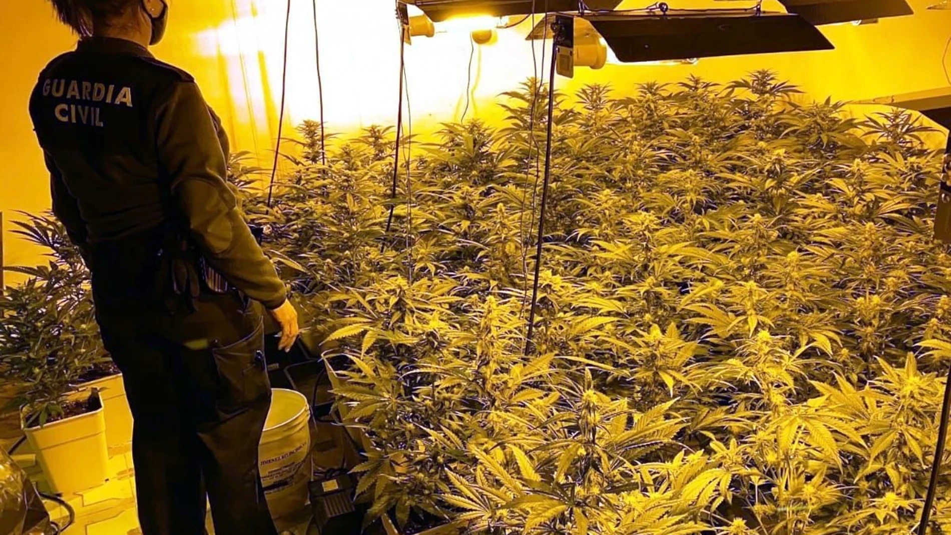 Una agente de la Guardia Civil tras una operación contra una plantación ‘indoor’ de marihuana con 150 plantas en Pobladura de Pelayo García (León)