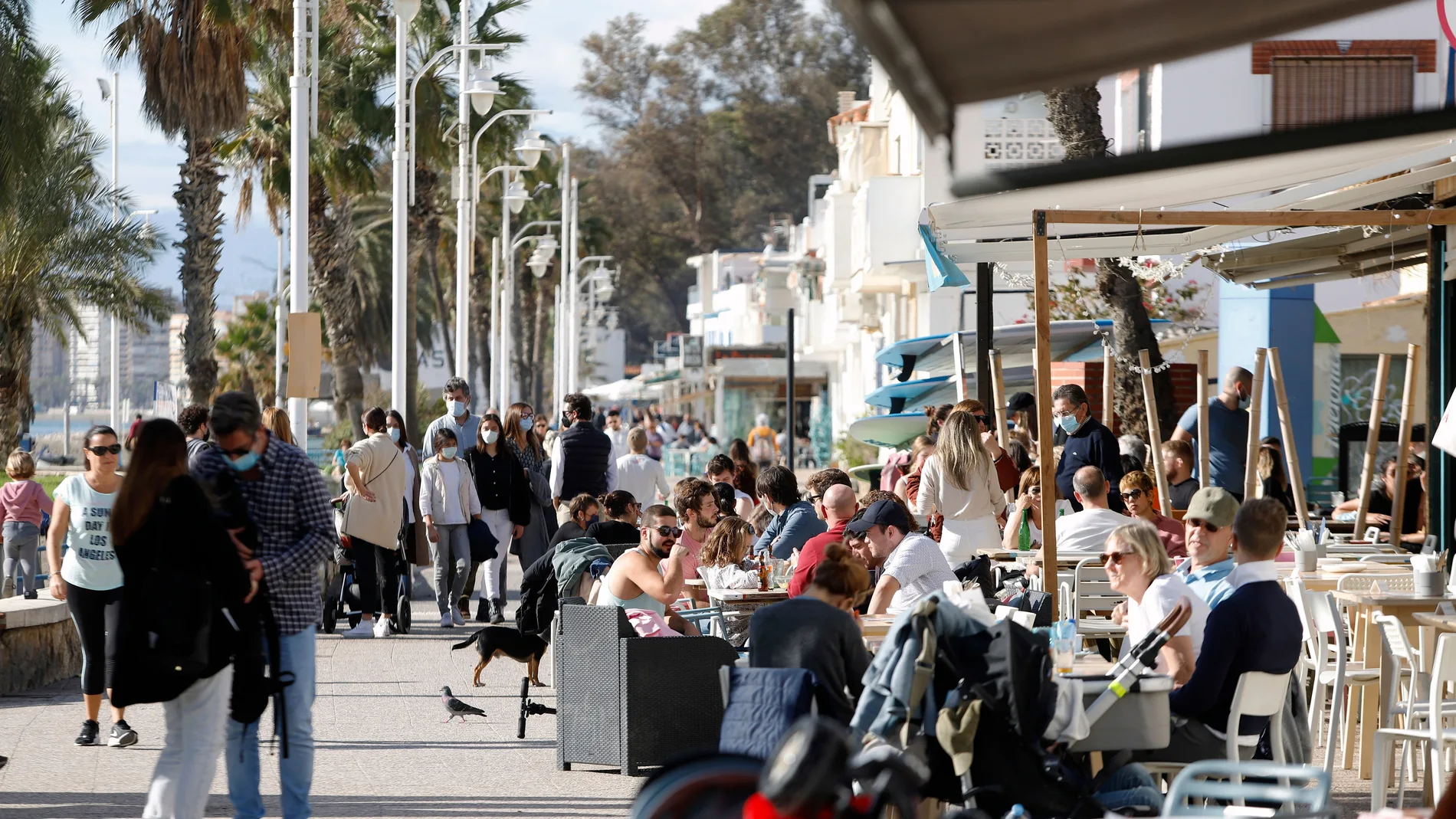 Malagueños, turistas y visitantes llenan las calles de Málaga