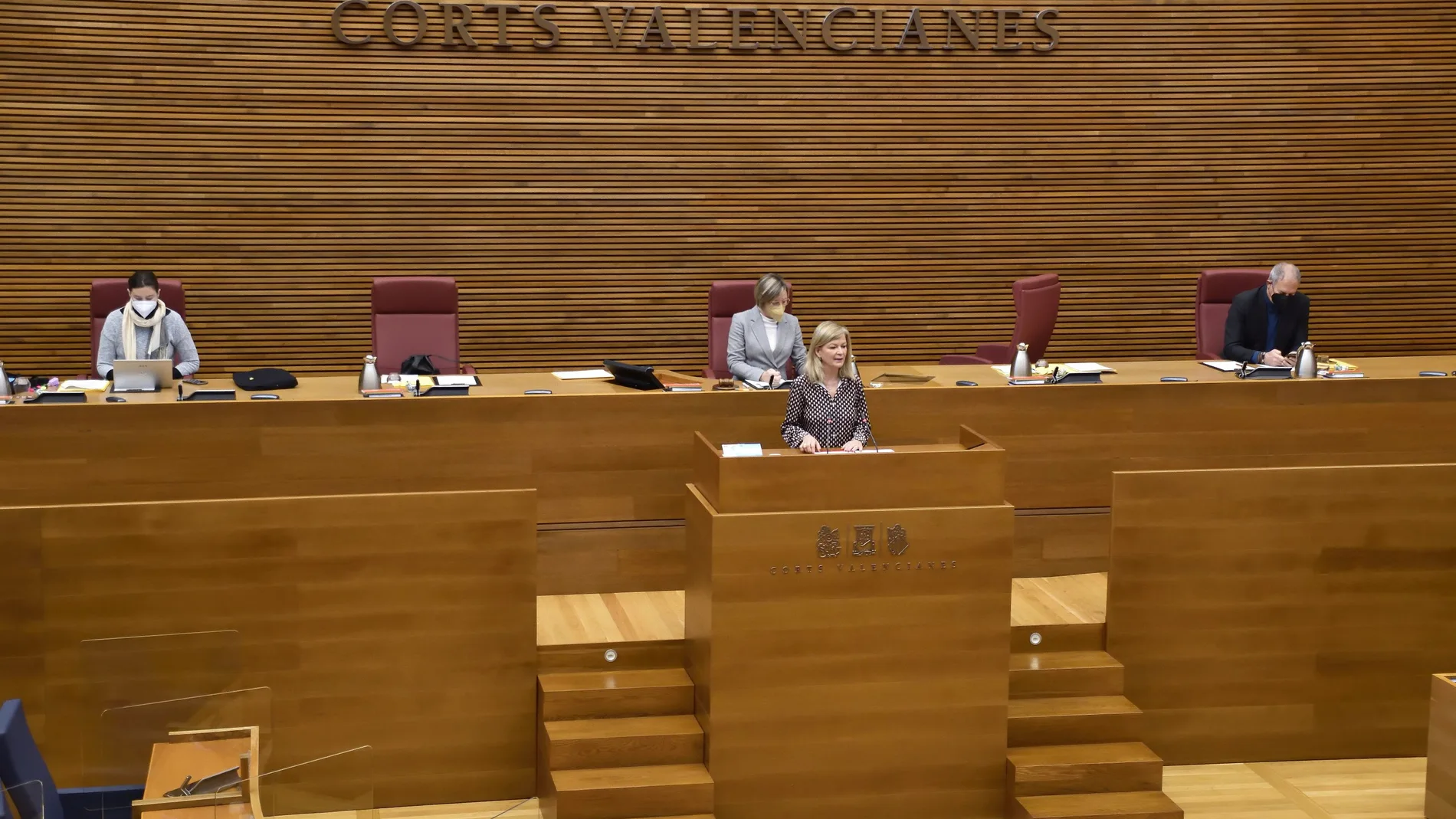Gabriela Bravo interviene en la Diputación Permanente de Les Corts