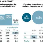 NC Report