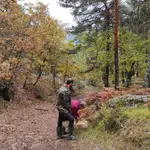 Recolección de setas en los Montes de Soria