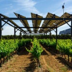 Bodega San Gabriel ya ha instalado este «sombreado inteligente» en 500 metros cuadrados de viñedos