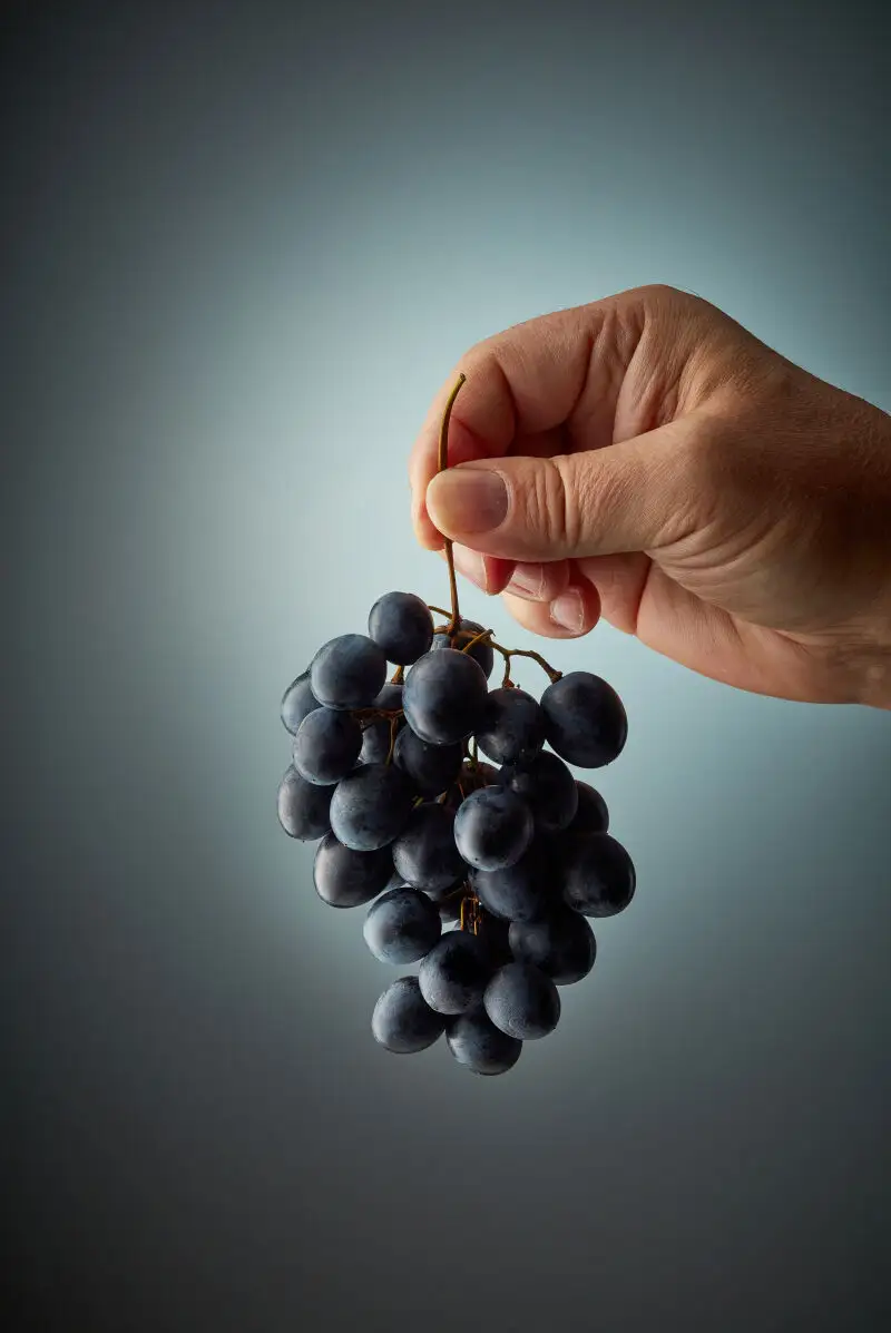 Uvas