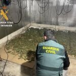 Tres detenidos por una plantación indoor de marihuana en Sancti Spiritus (Salamanca)