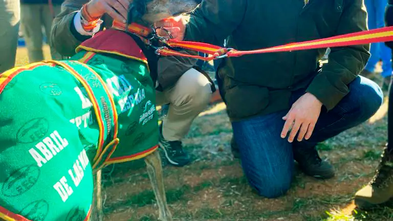 El presidente Alfonso Fernández Mañueco observa uno de los galgos participantes junto a Jesús Julio Carnero