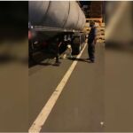 Un perro especializado del Servicio Cinológico de la Guardia Civil examina el semirremolque en búsqueda de la droga