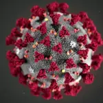Recreación del virus SARS-CoV-2
