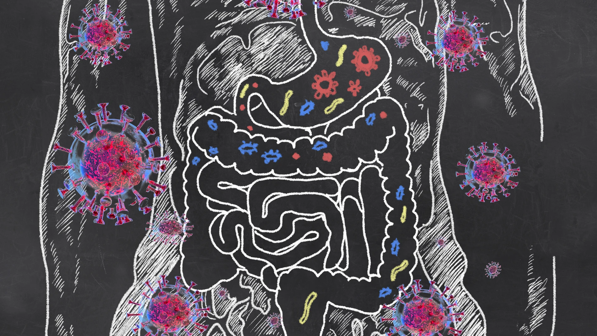 La composición del microbioma intestinal puede estar detrás del riesgo aumentado de desarrollar covid prolongado muchos meses después de la infección