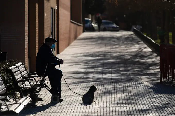 El barrio de Barcelona que ha empezado una cruzada contra los orines de perros