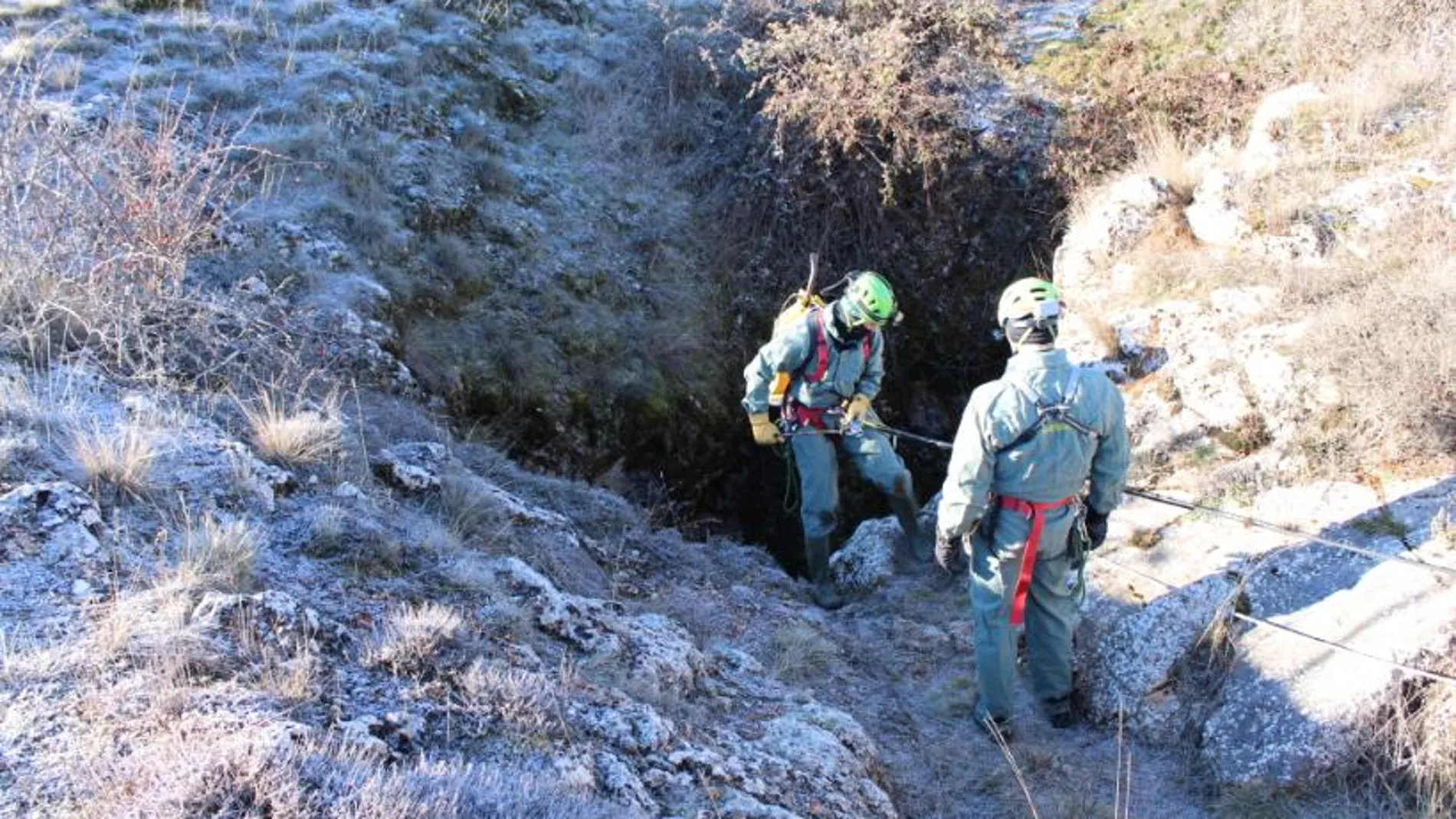 Investigan la aparición de unos huesos en Soria