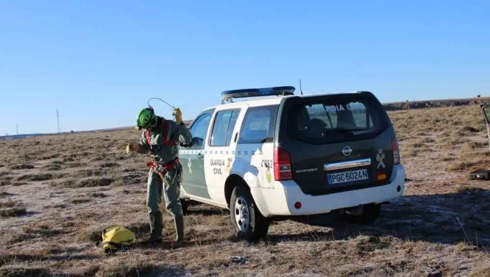 Investigan la aparición de unos huesos en Soria