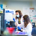 Las Ayudas a la investigación de la Fundación Mutua Madrileña ya han servido para poner en marcha cerca de 1.400 proyectos