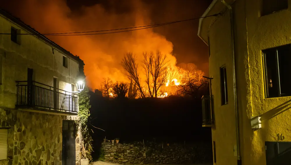 Incendio forestal en las inmediaciones de la localidad de Monsagro(Salamanca)