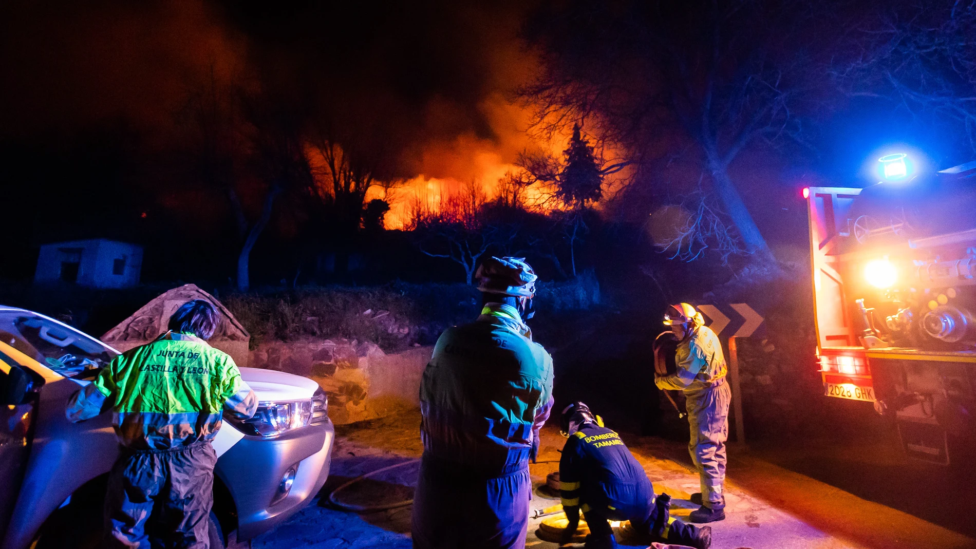 Incendio forestal en las inmediaciones de la localidad de Monsagro(Salamanca)