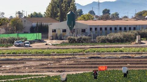 Vecinos contra la expansión de granjas intensivas de porcino cerca de casas. EFE/ Marcial Guillén (Foto Archivo)