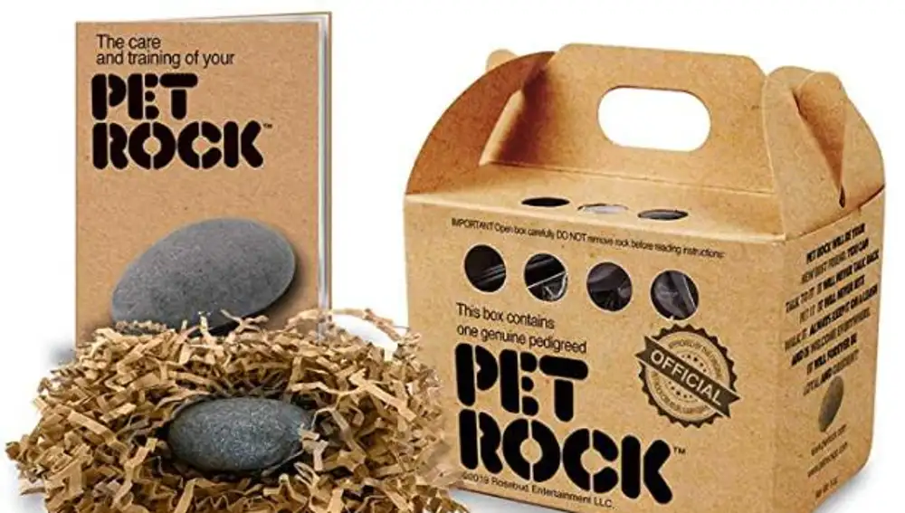 La empresa 'PET ROCK' comercializa piedras como mascotas | Fuente: AMAZON