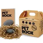 La empresa &#39;PET ROCK&#39; comercializa piedras como mascotas | Fuente: AMAZON
