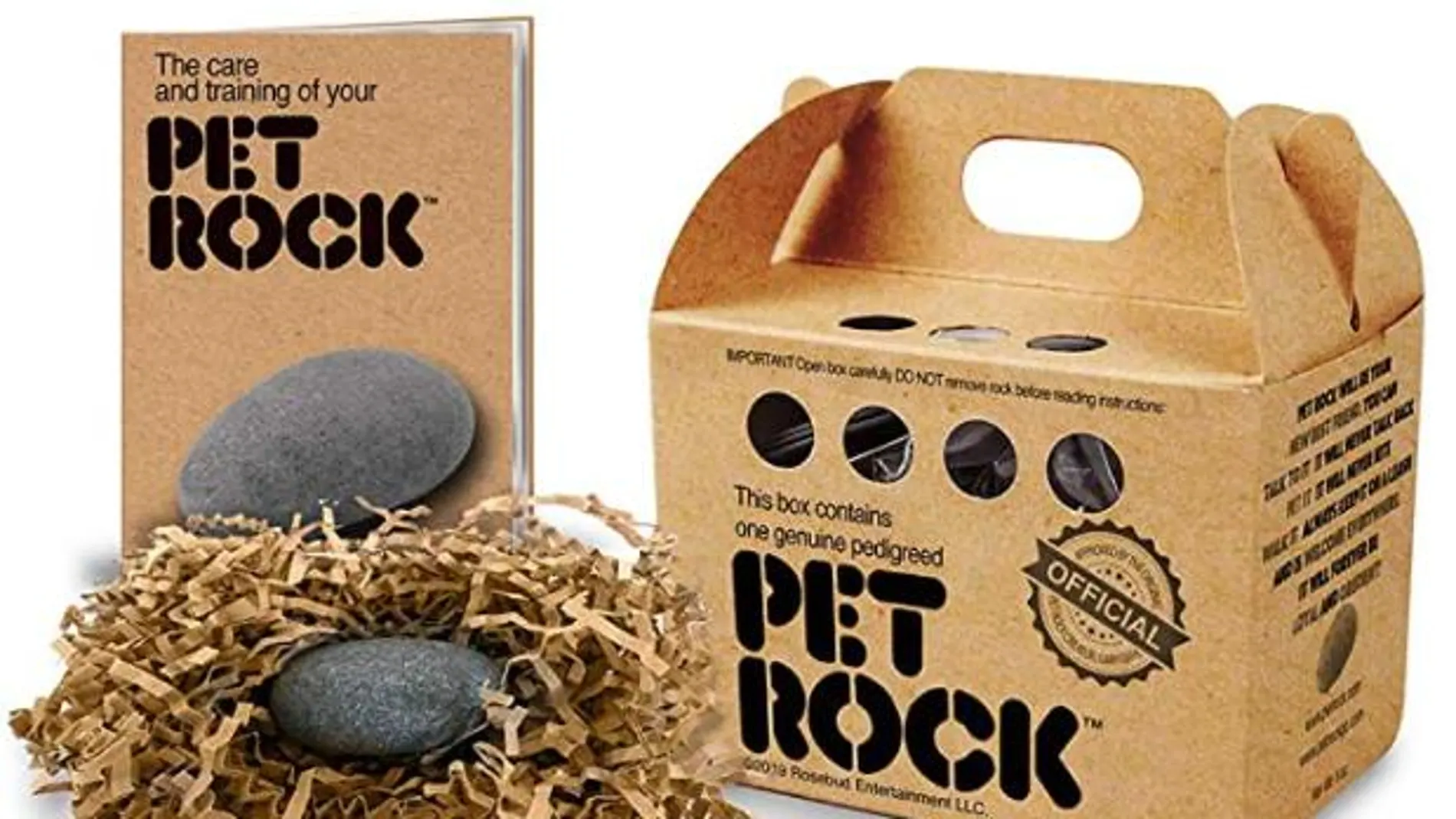 La empresa 'PET ROCK' comercializa piedras como mascotas | Fuente: AMAZON