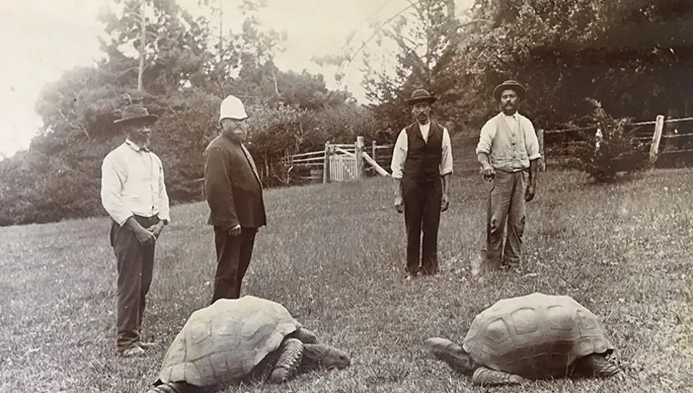 Jonathan (izquierda) en una fotografía tomada entre 1882 y 1886; en los terrenos de Plantation House, Santa Elena | Fuente: guinessworldrecords.es