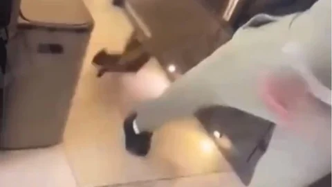 Kurt Zouma, pateando a su gato