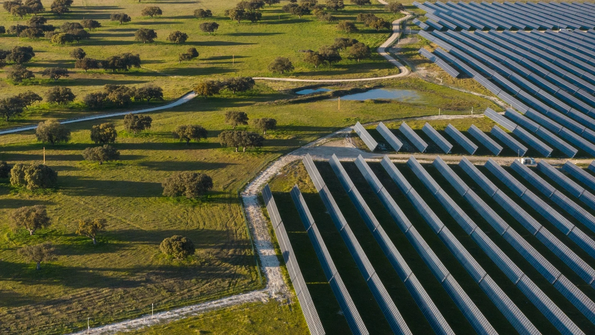 Vista aérea de la planta Talayuela Solar, en Cáceres