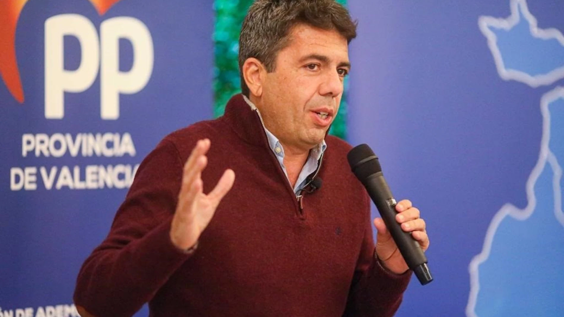 El presidente del PPCV, Carlos Mazón
PPCV
14/02/2022