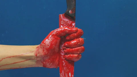 San Valentín es un día en el que las parejas de todo el mundo se demuestran su amor. No obstante, también han tenido lugar accidentes o asesinatos que han acabado con un final desagradable.