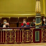 Integrantes de la Asociación Víctimas contra el Terrorismo, entre ellos la diputada del PP, Marimar Blanco (i), en una sesión plenaria en el Congreso de los Diputados, a 15 de febrero de 2022