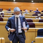 El ministro del Interior, Fernando Grande-Marlaska, en un pleno en el Senado, a 15 de febrero de 2022, en Madrid (España)