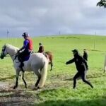 El jinete neozelandés Mark Todd golpea con una vara a un caballo en un entrenamiento