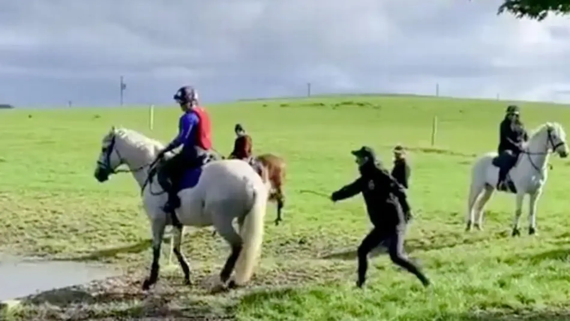 El jinete neozelandés Mark Todd golpea con una vara a un caballo en un entrenamiento