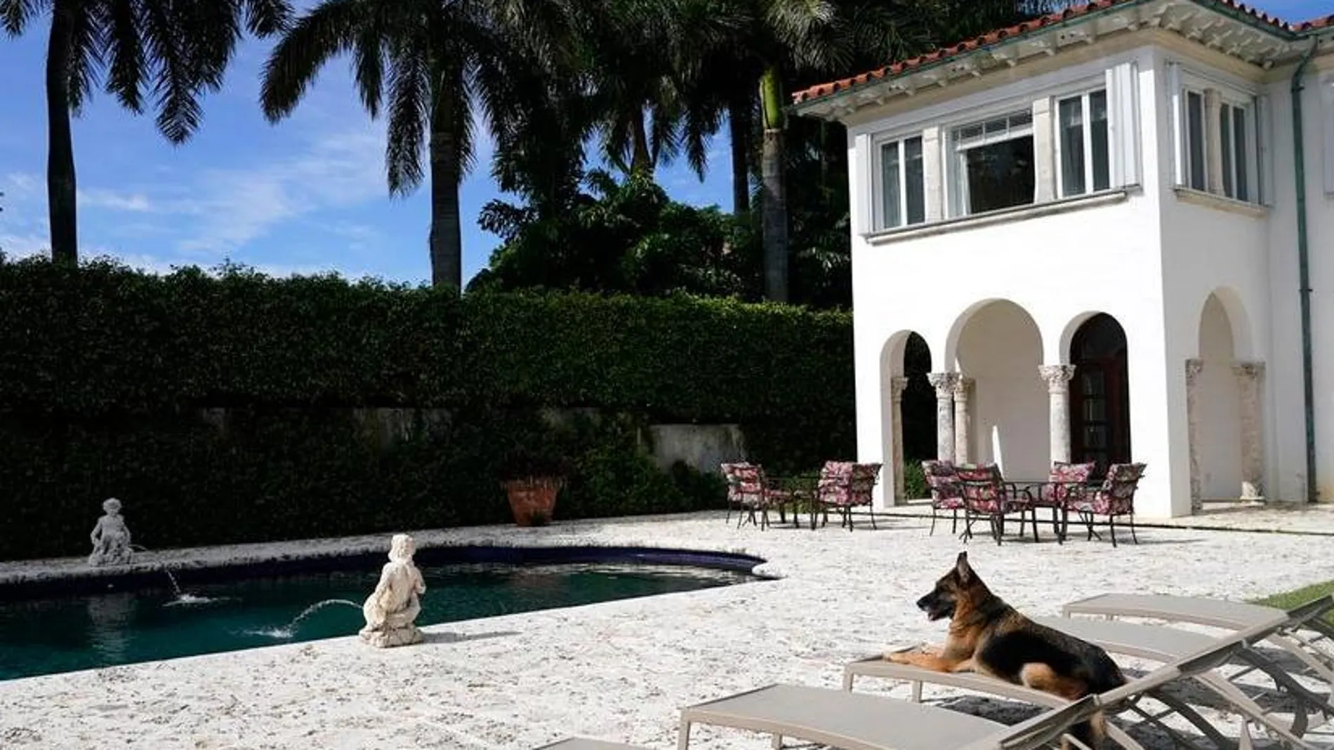 El perro Gunther IV, al borde de la piscina de su mansión en Miami.